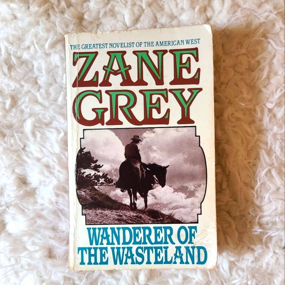 🌻 wanderer of the wasteland